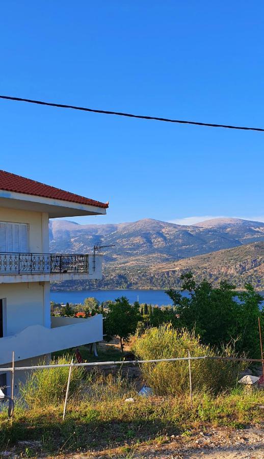 Darya Apartments Argostoli (Kefalonia) Exterior photo